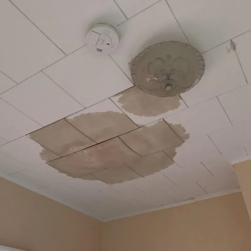 Ceiling Water Damage Repair in Union Hall, VA