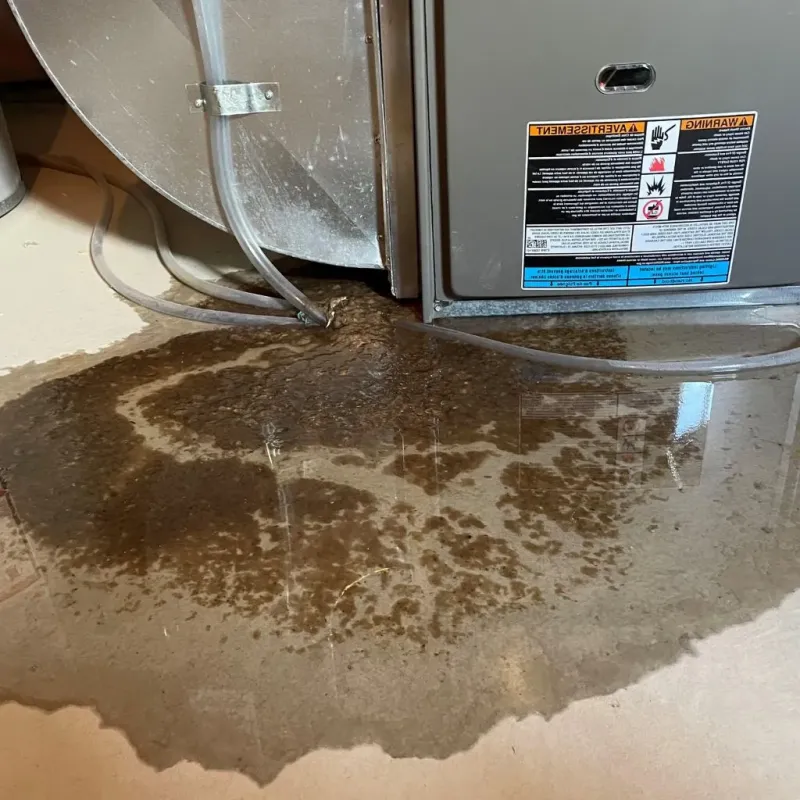 Pipe Burst and Leak Restoration in Union Hall, VA