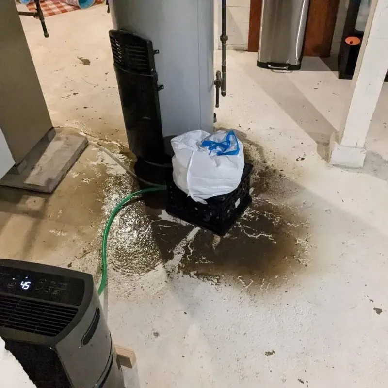 Sewage Backup Cleanup Service in Union Hall, VA